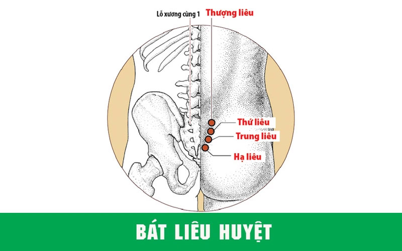 Vị trí huyệt Bát Liêu
