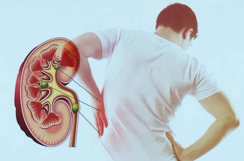 Tác dụng huyệt Mệnh Môn trong cải thiện sức khỏe thận