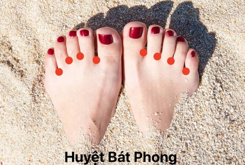 Huyệt Bát Phong nằm ở đâu? Ngay tại cá