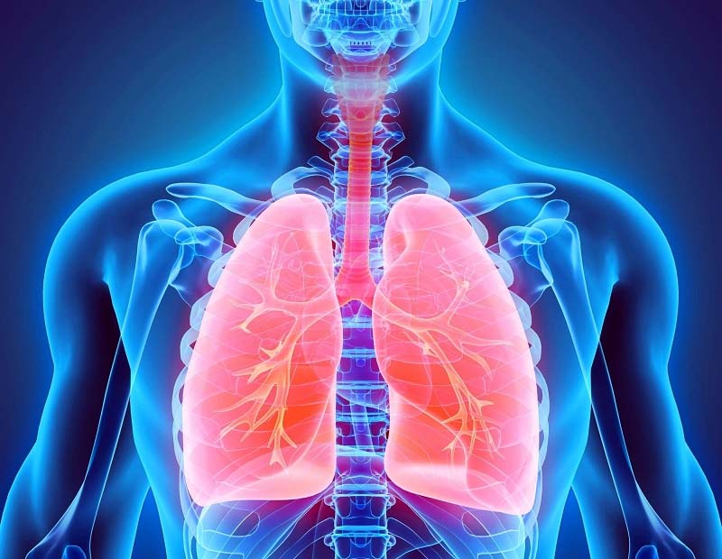 Tác dụng huyệt Cách Du trong chăm sóc hệ hô hấp
