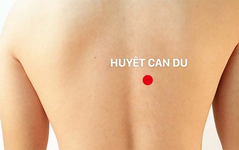 Huyệt Can Du nằm ở đâu ngay trên lưng