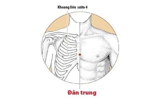 huyệt đản trung