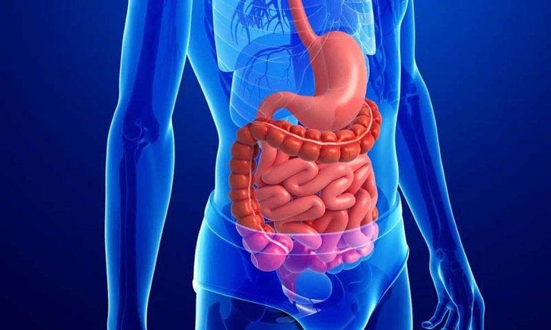 Tác dụng huyệt Đại Trường Du