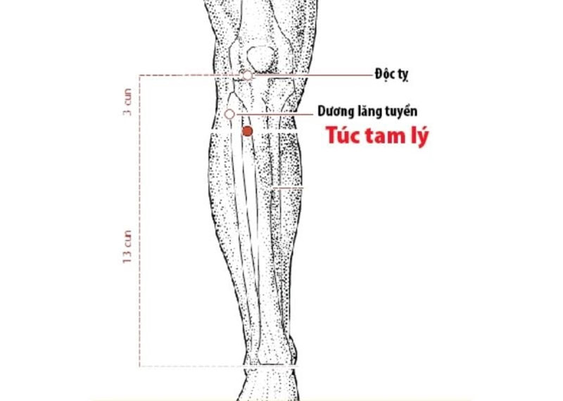 Bấm huyệt giảm đau bụng kinh Túc Tam Lý