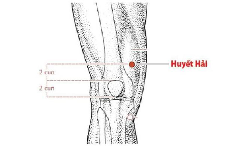 Vị trí huyệt Huyết Hải