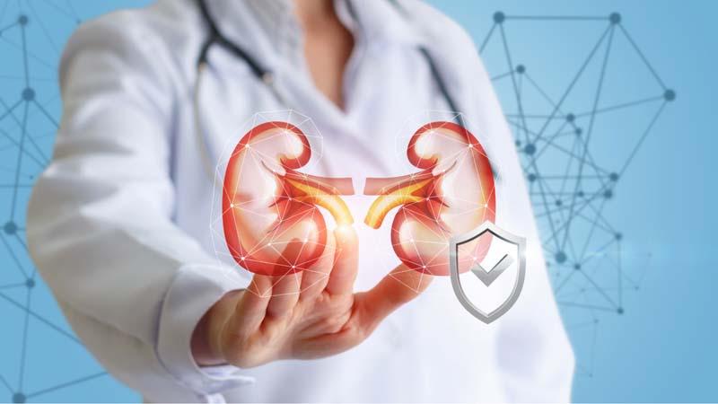 Huyệt Dũng Tuyền chủ về phòng và điều trị các bệnh liên quan đến thận