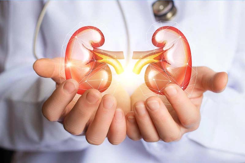Thận Du giúp tăng cường sinh lực bằng cách nâng cao sức khỏe thận