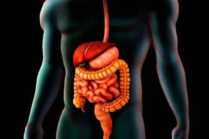 Cải thiện hệ tiêu hóa - tác dụng của bấm huyệt Hợp Cốc đúng cách