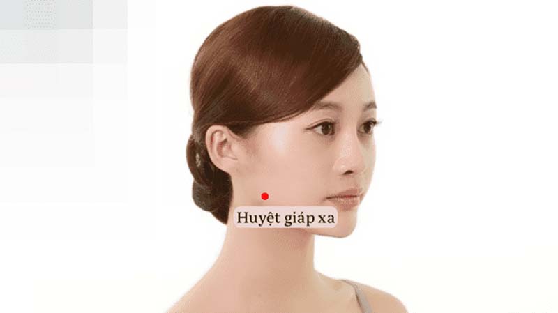 Hình ảnh huyệt Giáp Xa tại vùng hàm