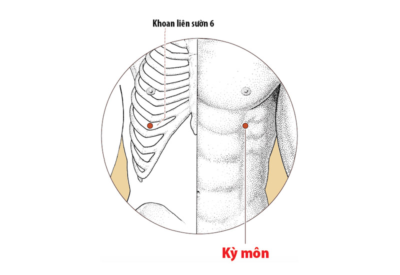 Hình ảnh vị trí của huyệt Kỳ Môn