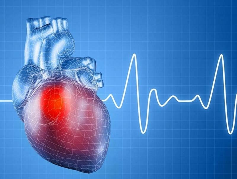 Huyệt Thần Môn hỗ trợ ổn định tim mạch