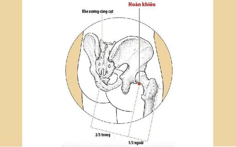 Vị trí của huyệt Hoàn Khiêu