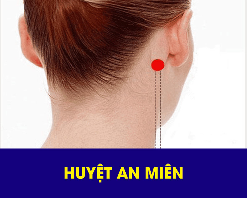 Vị trí huyệt An Miên