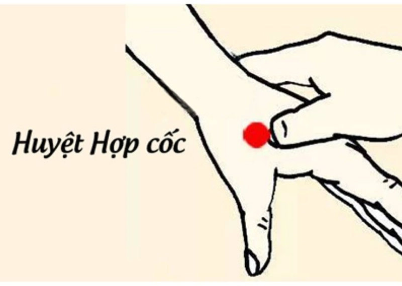 Vị trí huyệt Hợp Cốc