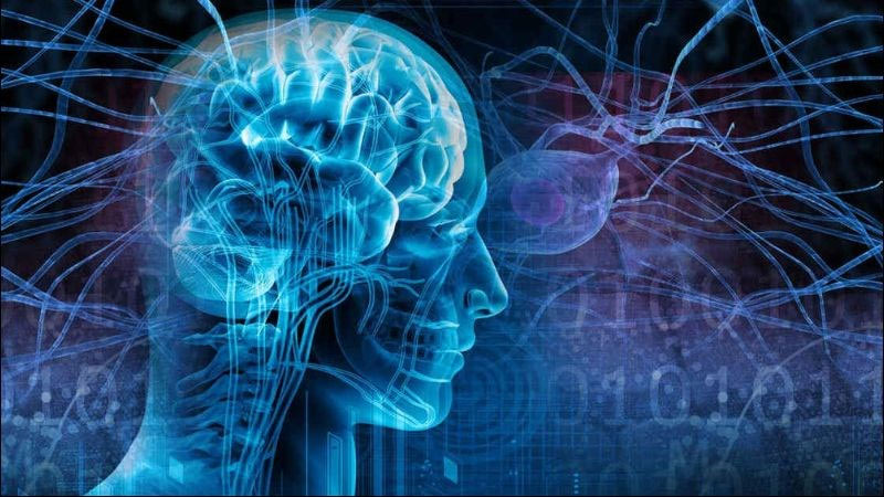 Bấm huyệt có thể giúp giảm tần suất của cơn động kinh
