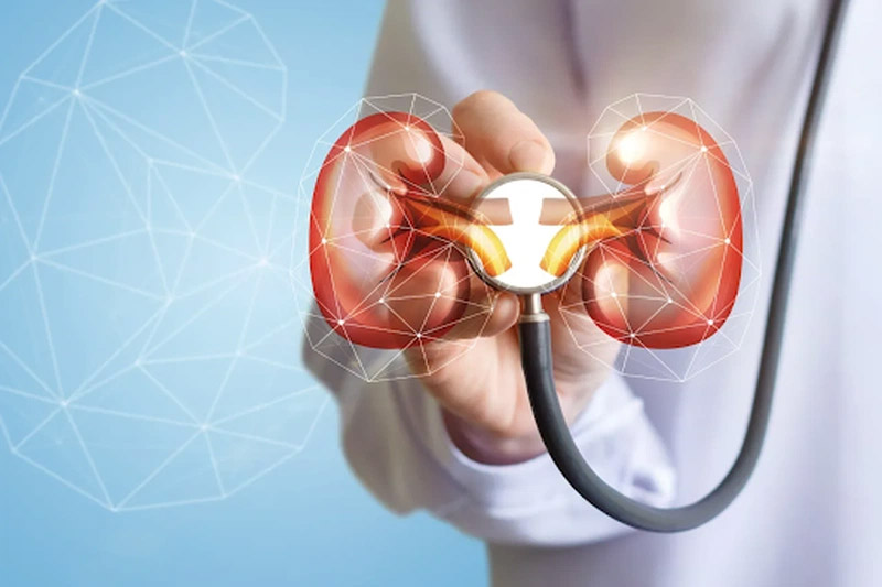 Huyệt Phục Lưu hỗ trợ điều trị nhiều bệnh lý có căn nguyên từ thận