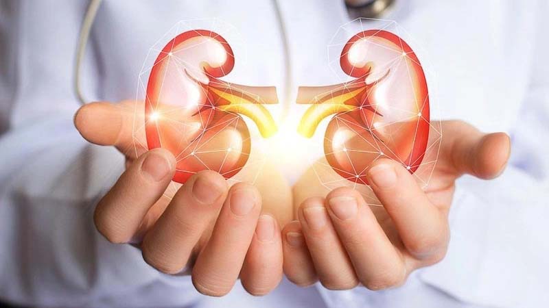 Huyệt Thái Khê giúp bổ thận, tráng dương, tăng cường sinh lý