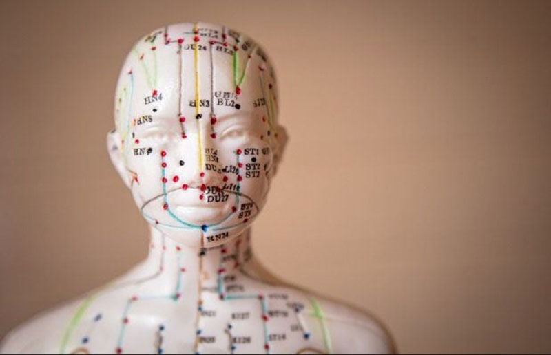 Vị trí các huyệt trên đầu, mặt, cổ và tác dụng