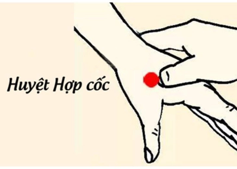 Cách bấm huyệt không buồn ngủ Hợp Cốc
