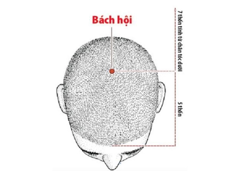 Bấm huyệt chữa rụng tóc Bách hội