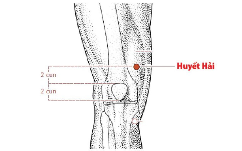 Vị trí huyệt Huyết Hải
