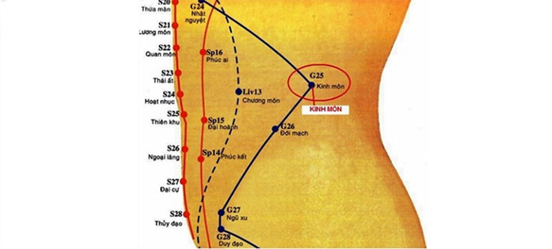 Vị trí huyệt Kinh Môn
