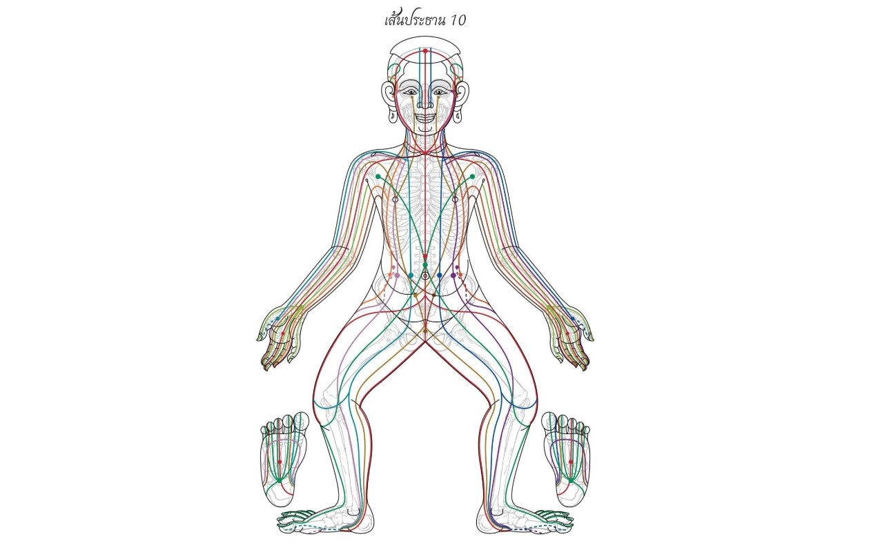 Tìm hiểu về Sen Lines trong kỹ thuật massage Thái Lan