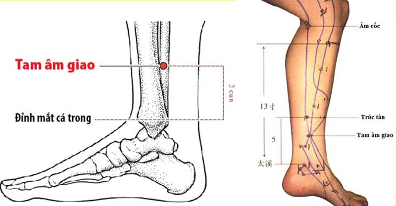 Bấm huyệt ra kinh nguyệt Tam Âm Giao