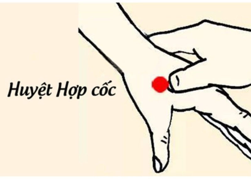 Cách bấm huyệt để hạ huyết áp Hợp Cốc