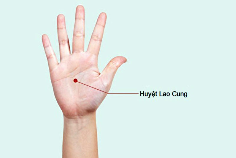 Vị trí huyệt Lao Cung