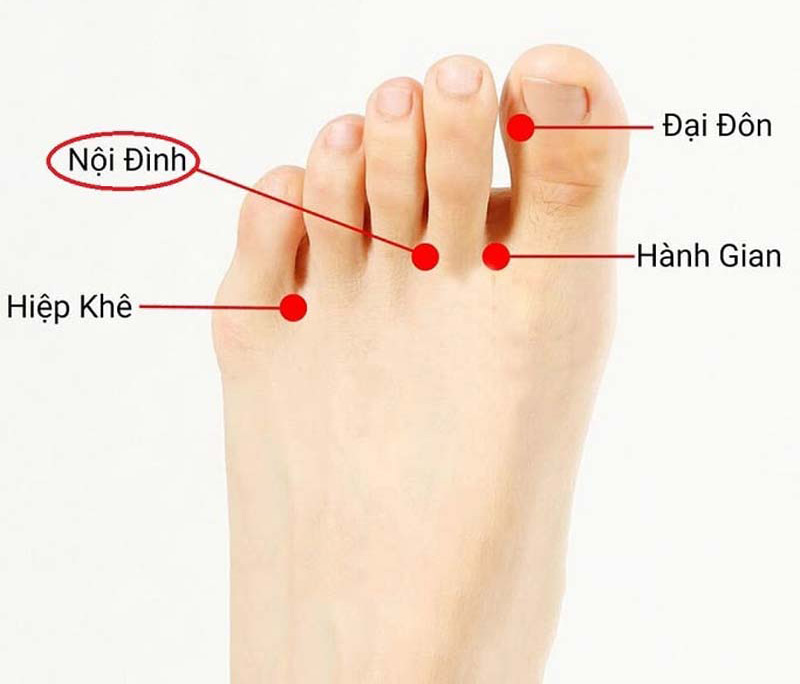 Vị trí huyệt Nội Đình