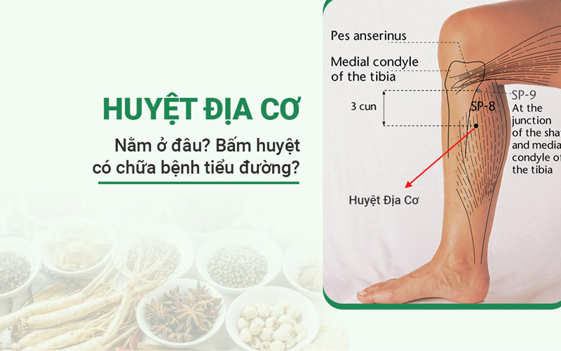 Huyệt Địa Cơ trị tiểu đường: Vị trí và cách bấm