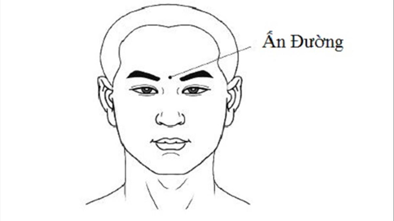 Huyệt Ấn Đường: Vị trí và tác dụng đối với sức khỏe