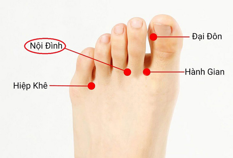 Huyệt Nội Đình: Vị trí, cách bấm và ứng dụng trong điều trị bệnh