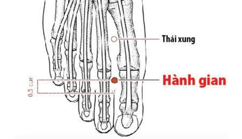 Huyệt Hành Gian: Vị trí, công dụng và cách tác động