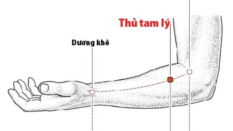 Huyệt Thủ Tam Lý: Vị trí, tác dụng và cách bấm huyệt hiệu quả