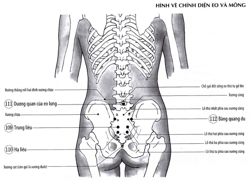 Huyệt Bát Liêu: Vị trí, công dụng và cách châm cứu, bấm huyệt