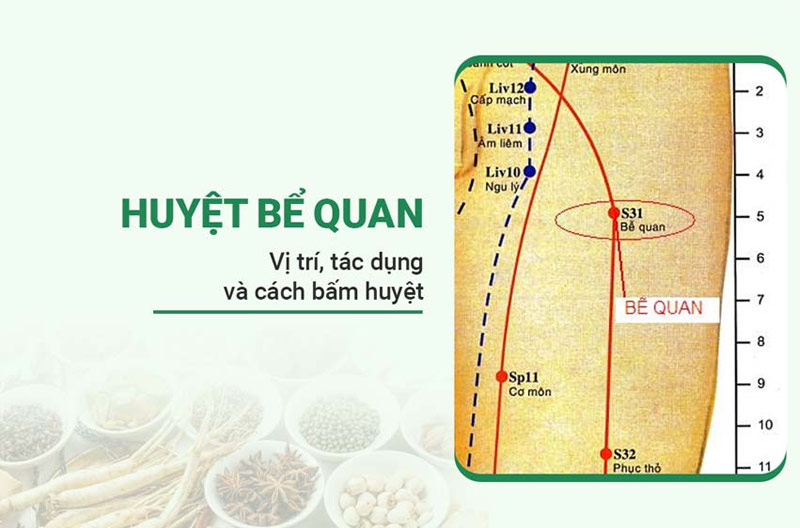 Huyệt Bế Quan: Vị trí, tác dụng và cách châm cứu, bấm huyệt