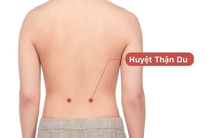 Huyệt Thận Du: Vị trí, công dụng và cách châm cứu, bấm huyệt