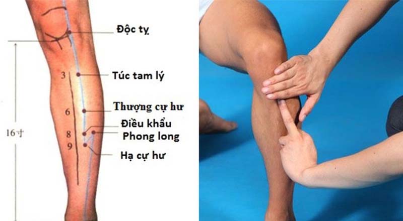 Độc Tỵ huyệt: Vị trí, tác dụng và cách châm cứu bấm huyệt