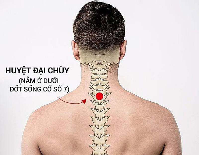 Huyệt Đại Chùy: Vị trí, công dụng và cách châm cứu, bấm huyệt