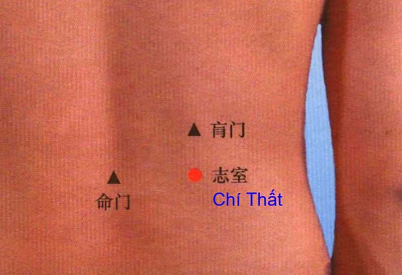 Huyệt Chí Thất: Vị trí, tác dụng và cách tác động hiệu quả