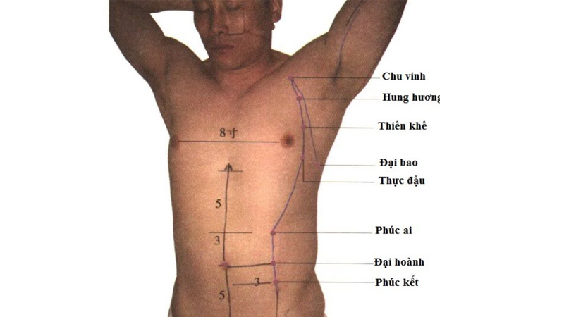Huyệt Đại Bao: Vị trí, công dụng và ứng dụng chữa bệnh