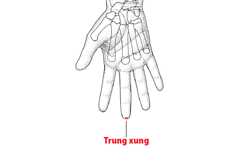 Huyệt Trung Xung: Vị trí, tác dụng và cách châm cứu, bấm huyệt