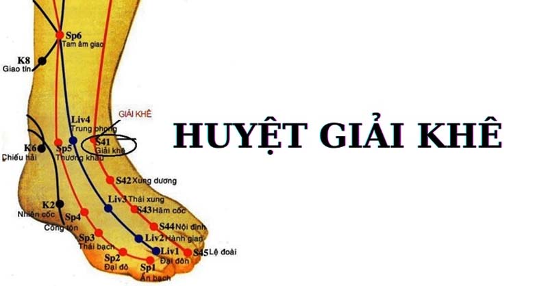Huyệt Giải Khê: Vị trí, công dụng và cách châm cứu bấm huyệt