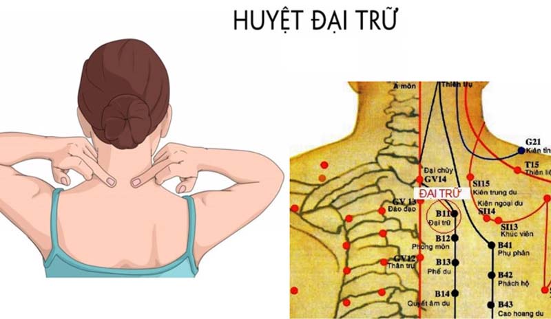 Huyệt Đại Trữ: Vị trí, tác dụng và cách châm cứu bấm huyệt