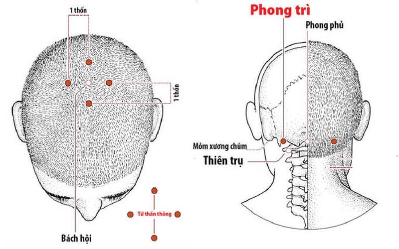 Huyệt Tứ Thần Thông: Vị trí, tác dụng và cách khai thông