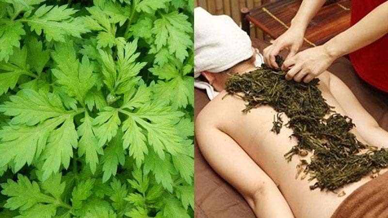 Gợi ý 7 mẹo dân gian chữa đau vai gáy hiệu quả tại nhà