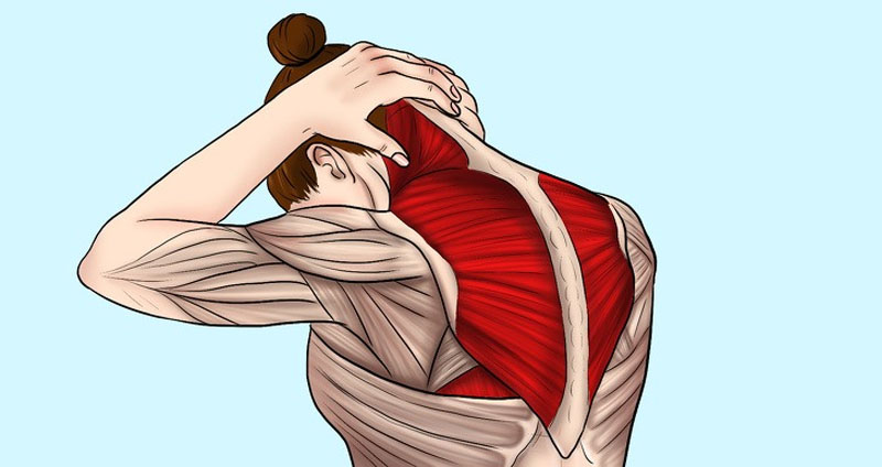 Tổng hợp các bài tập giãn cơ vùng cổ vai gáy đơn giản, hiệu quả