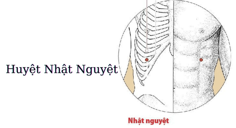 Huyệt Nhật Nguyệt nằm ở đâu? Cách xác định và tác động